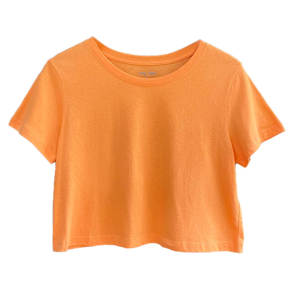 Premium Cotton Crop Tops (New Colors!): XX-Large / Dusky Blue