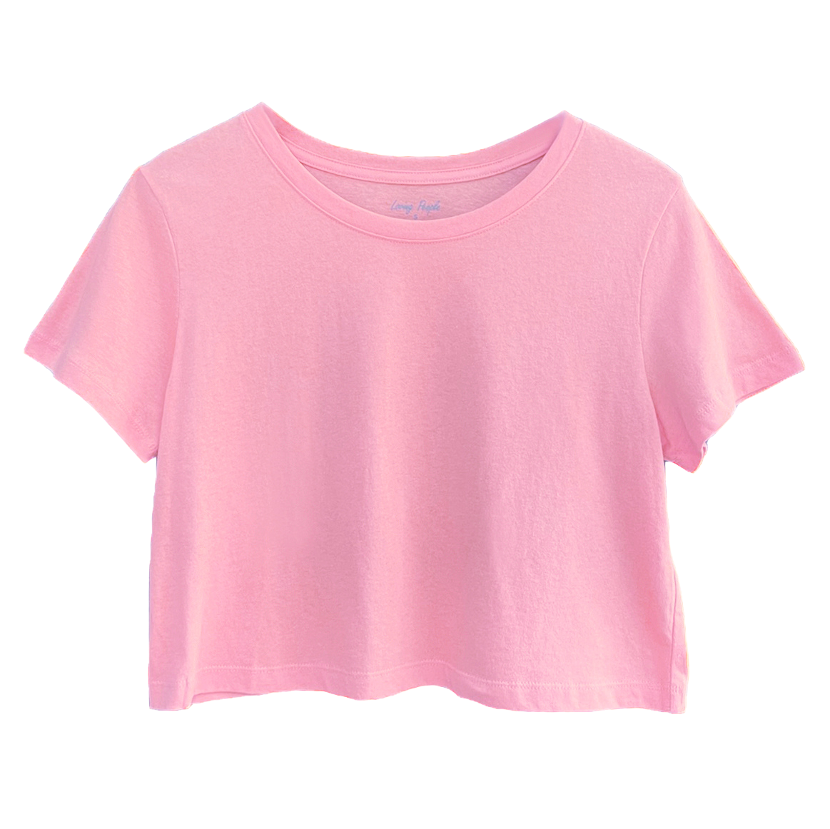 Premium Cotton Crop Tops (New Colors!): XX-Large / Dusky Blue