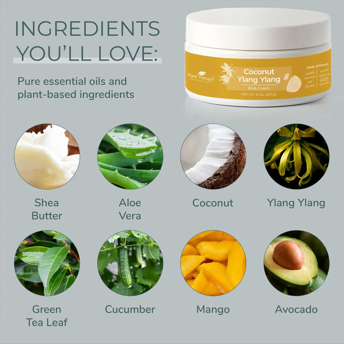 Coconut Ylang Ylang Body Cream 8oz