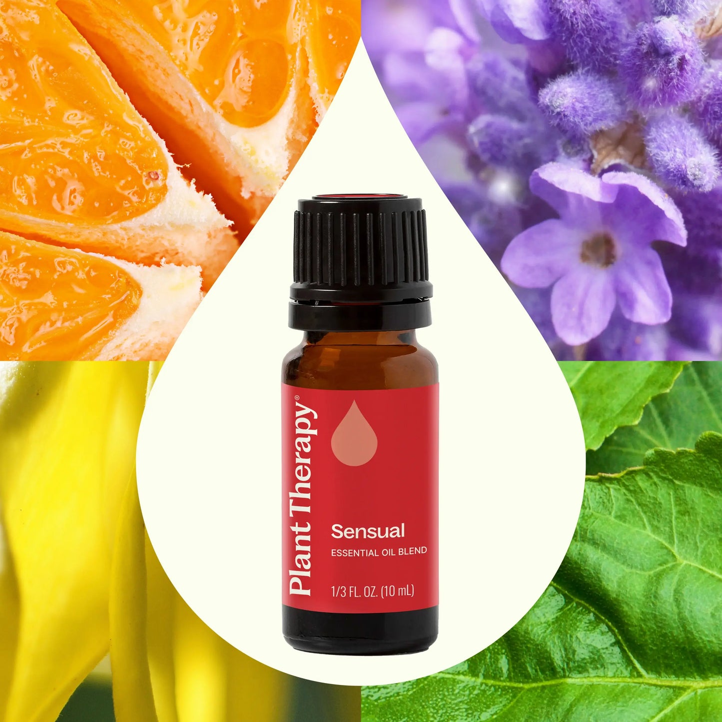 Sensual Essential Oil Blend 10 mL